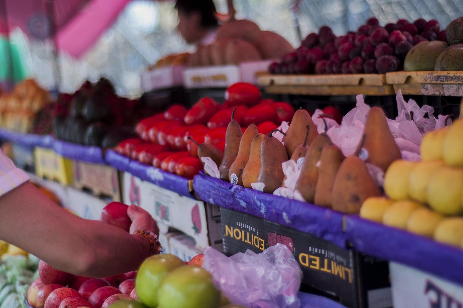 Read more about the article Boosting Egypt’s fruit and vegetable exports by improving food safety and quality